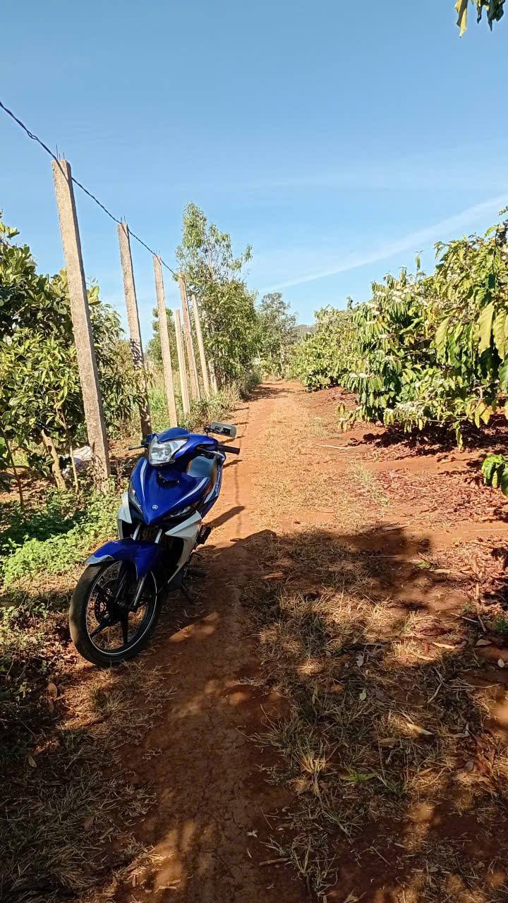 Bán Gấp Đất Vườn 1008m² Hòa Phú, Gia Lai - Sổ Hồng, Gần Quốc Lộ 14