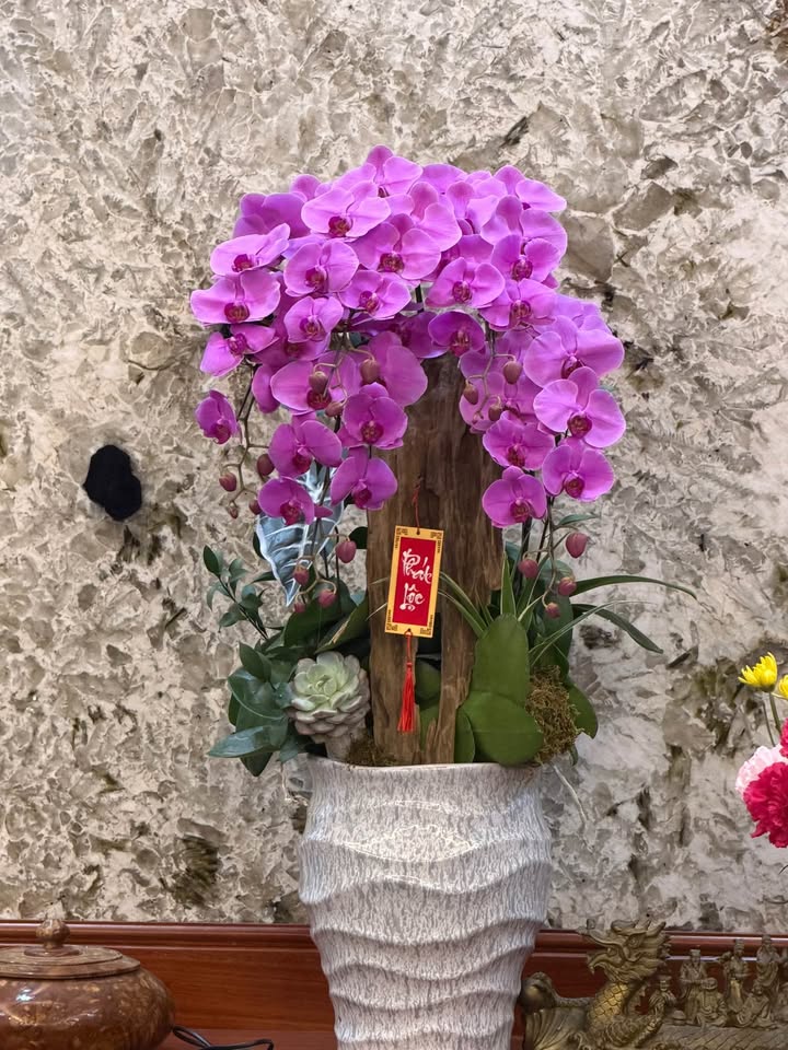 Đất nền Bắc Giang 180m² - Sổ đỏ chính chủ, tiềm năng sinh lời!