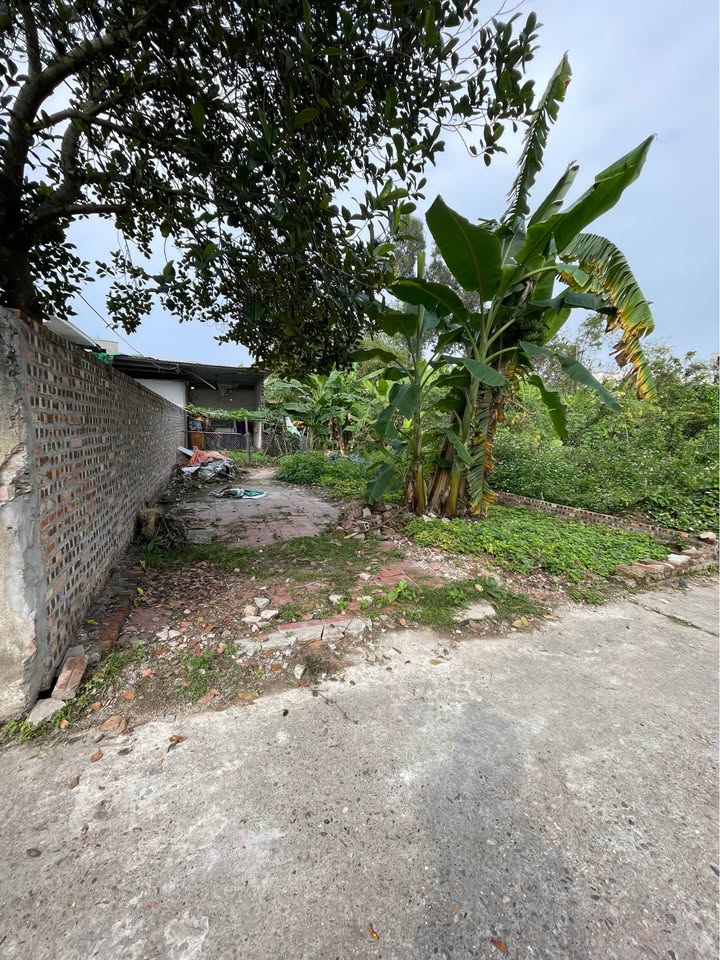 Đất nền Thuận Thành 95m² - Vị trí đắc địa, tiềm năng tăng giá cao!