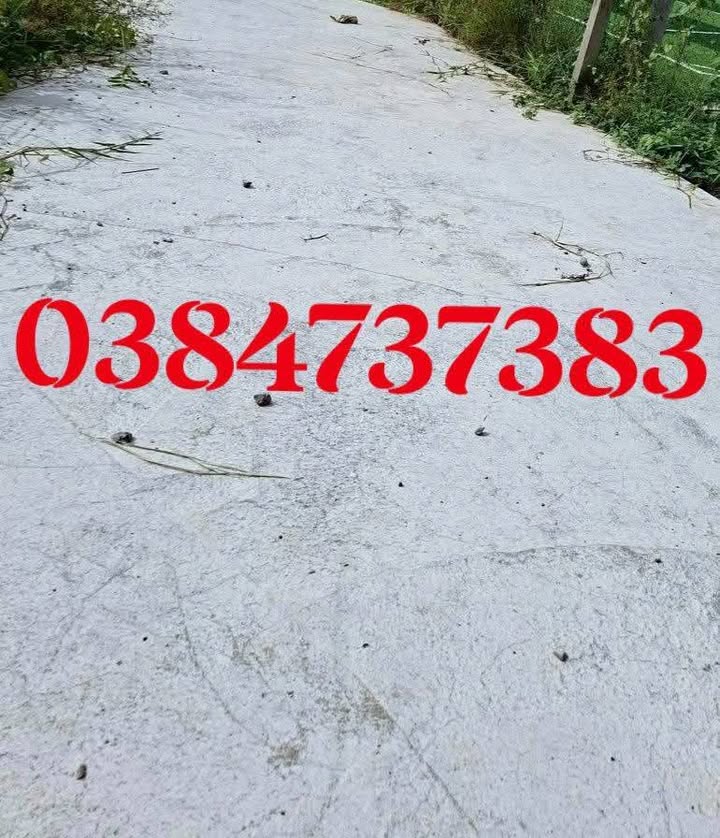 Bán Gấp Đất Vườn 16.000m² Bến Tre - Gần KCN Mở Rộng