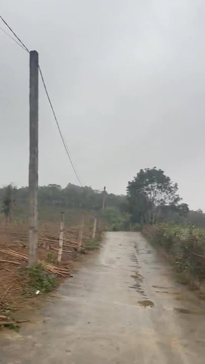 Đất nền 150.3m² Thị xã Phú Thọ - Sổ hồng thổ cư, giá chỉ 600 triệu