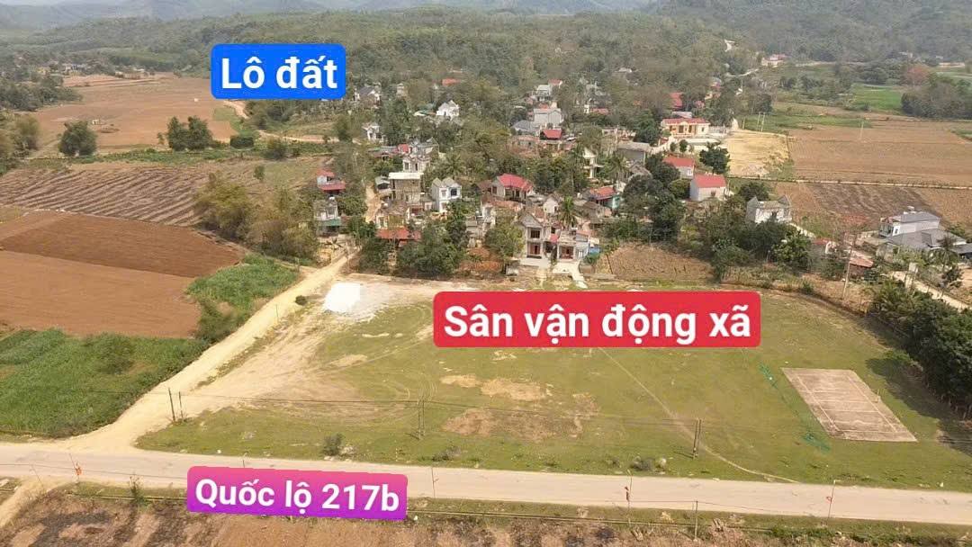 Bán Gấp 2 Lô Đất Thổ Cư 115m² Thành Mỹ, Thanh Hóa - Sổ Hồng Sẵn Sàng