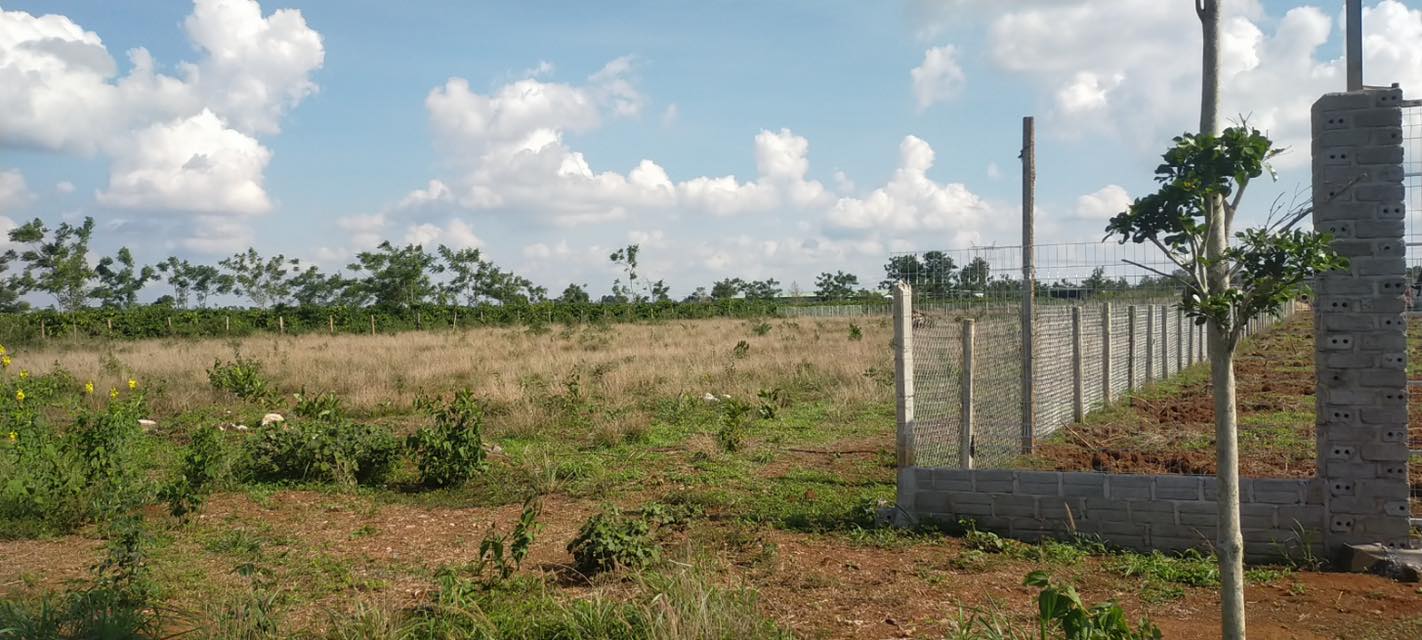 Đất Vườn Gia Lai - 1000m² Giá Tốt Chỉ 626 Triệu - Sổ Đỏ Sẵn Sàng