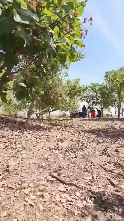 Đất vườn Đức Cơ Gia Lai 4ha giá 600 triệu - Đầu tư dài hạn