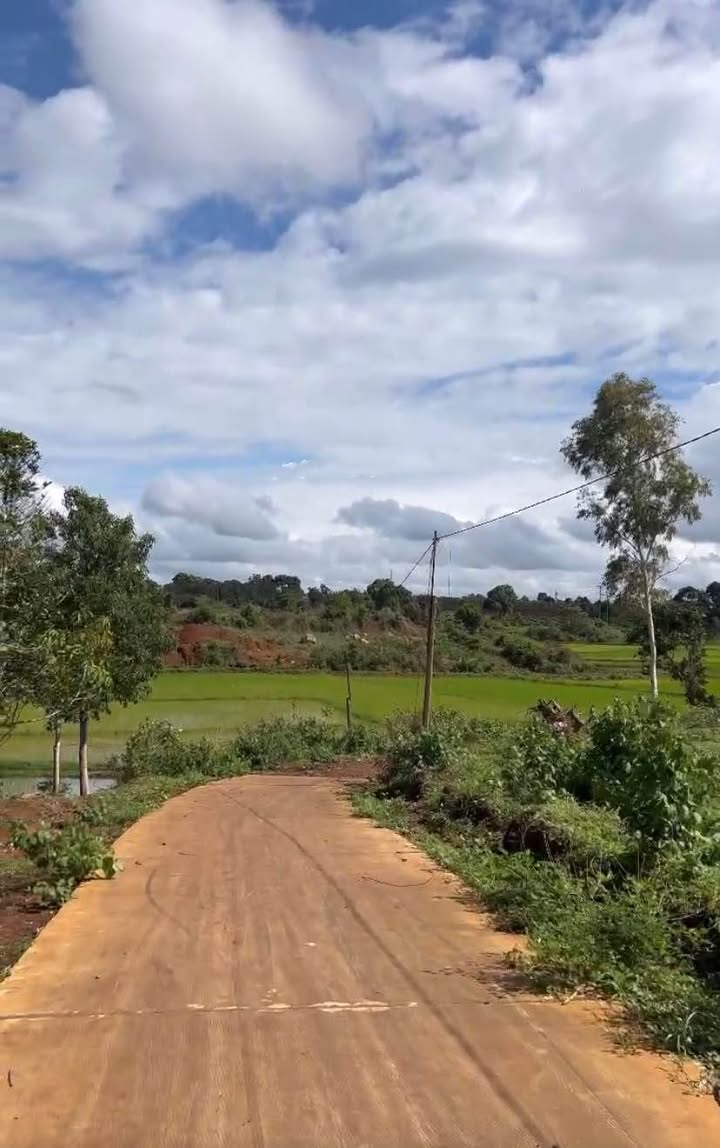 Đất nền Thôn 2, Ia Hrung, Ia Grai 731m² giá 450 triệu - Tiềm năng tăng giá!