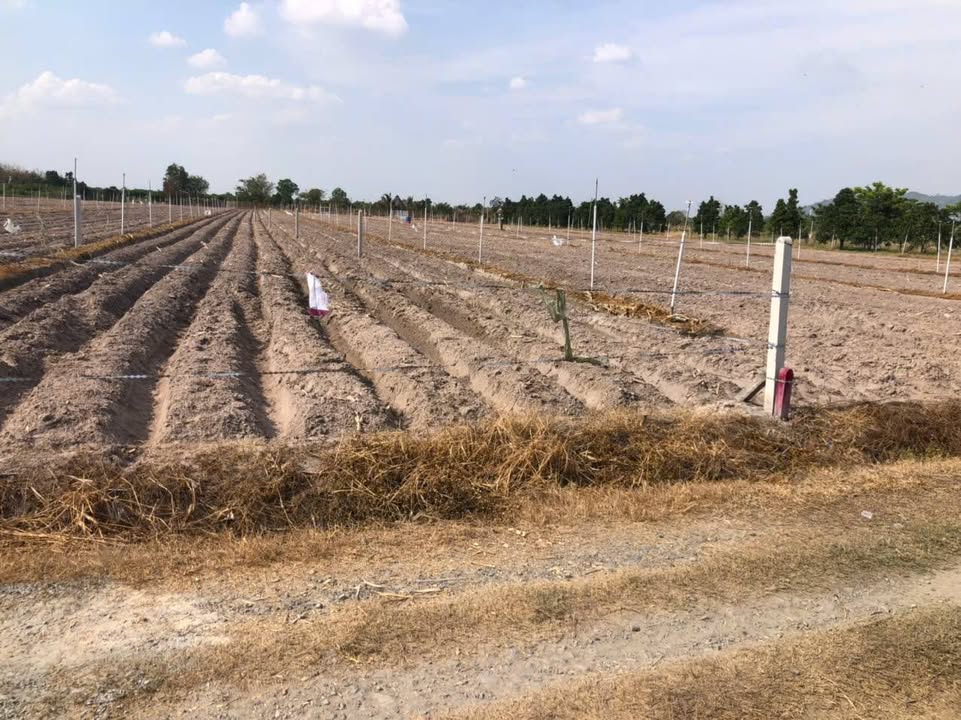 Đất nền TP. Tây Ninh 520m² giá dưới 370 triệu - Sổ đỏ chính chủ