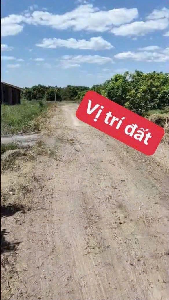 Đất Nền Trường Đông, Tây Ninh 1400m² - Sổ Hồng Riêng, Ô Tô Tới Đất