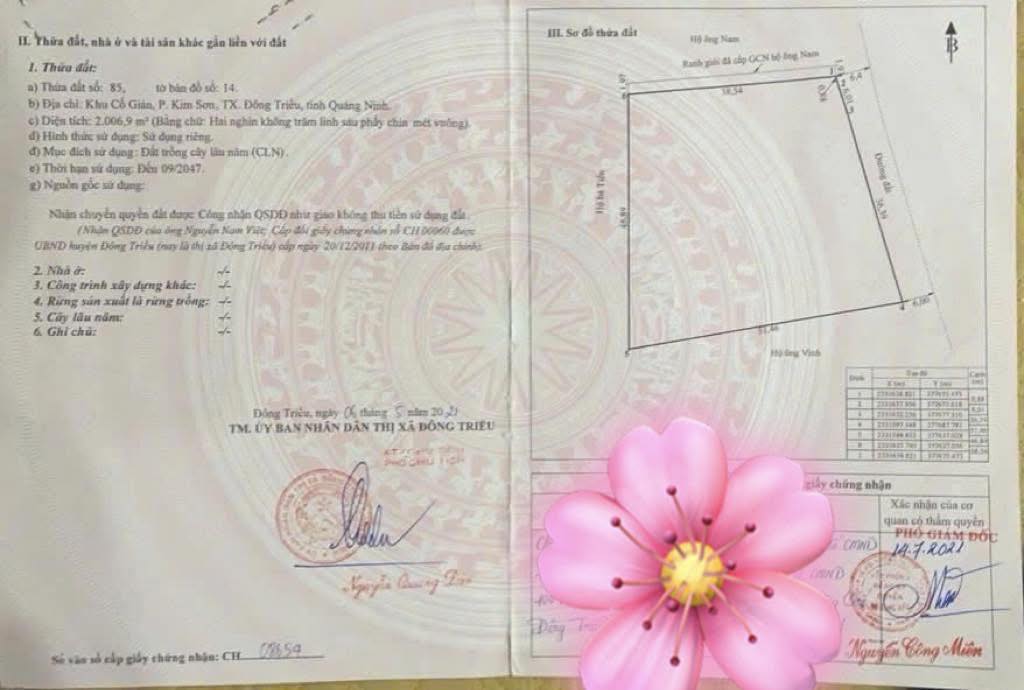 Đất nền Kim Sơn, Đông Triều 2006m² – Tiềm năng tăng giá mạnh!