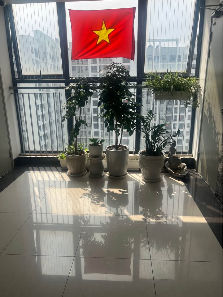 Căn hộ Ecohome 3 Bắc Từ Liêm 63m² giá 4 tỷ - View sông Hồng cực thoáng!