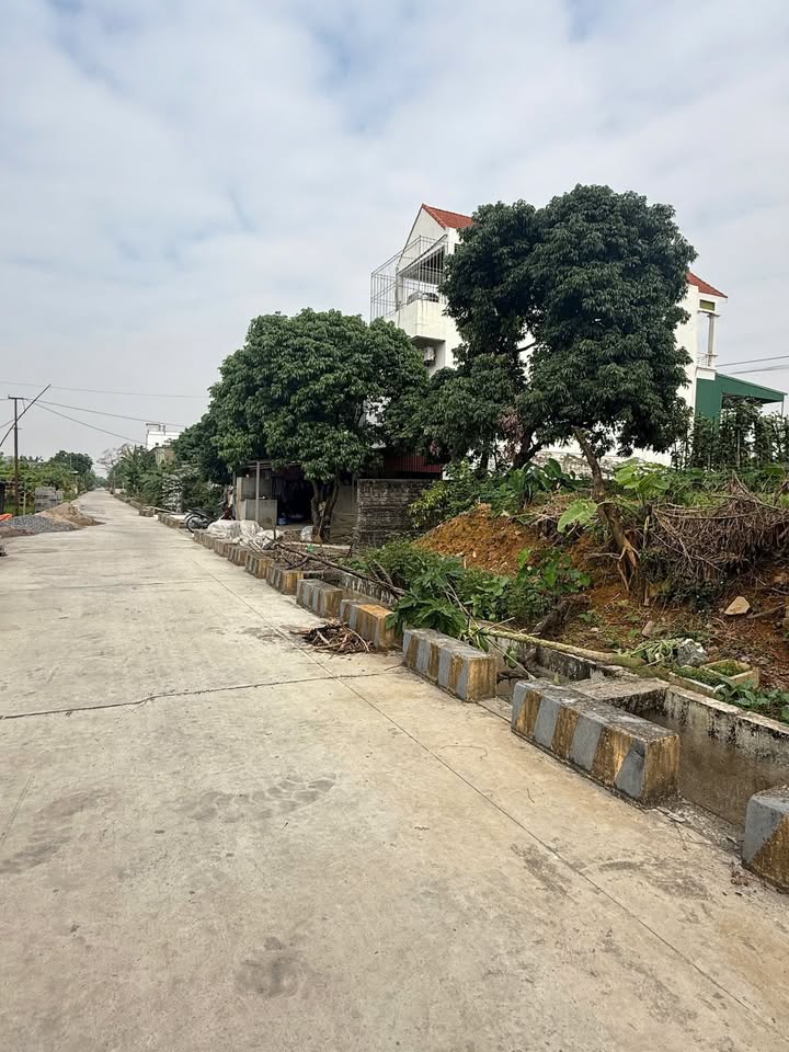 Đất nền Lam Hạ, Phủ Lý 98m² - Giá F0, tiềm năng sinh lời cao!