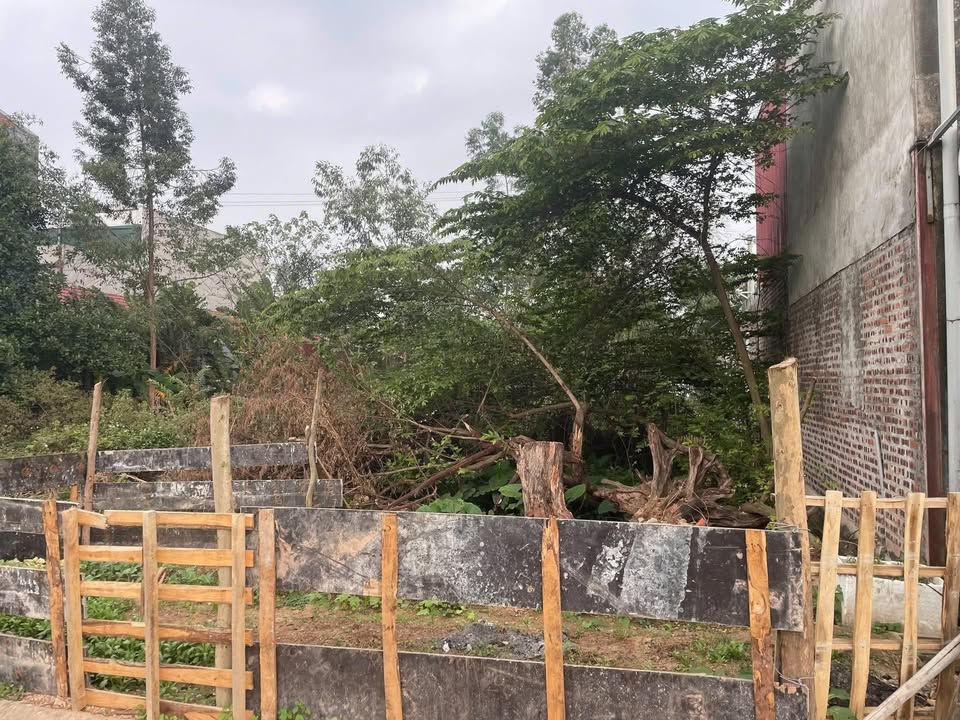 Đất nền KĐT Điện Nước Phúc Yên - 100m² - Sổ đỏ sẵn sàng