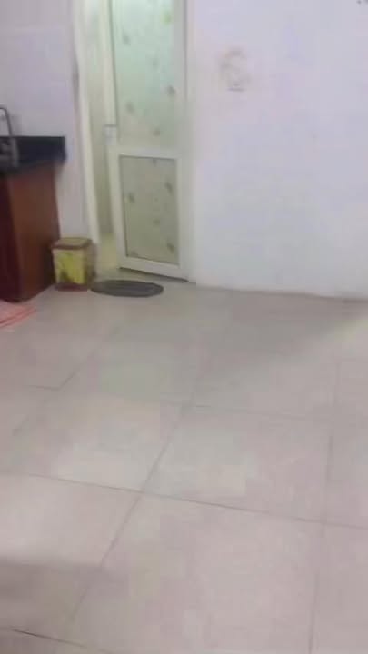 Căn hộ Trang Đạt Phúc Yên 40m² - 2.8 Triệu Full Nội Thất Cao Cấp!