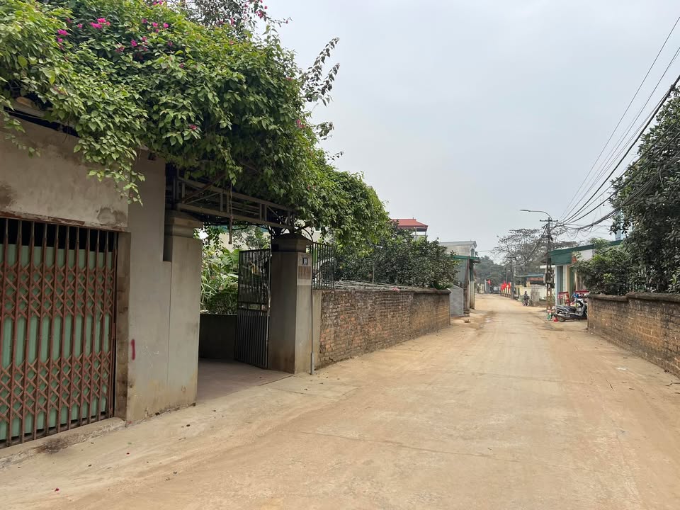 Đất nền Hạ Bằng 217m² – Trục chính, tiềm năng tăng giá vượt trội!