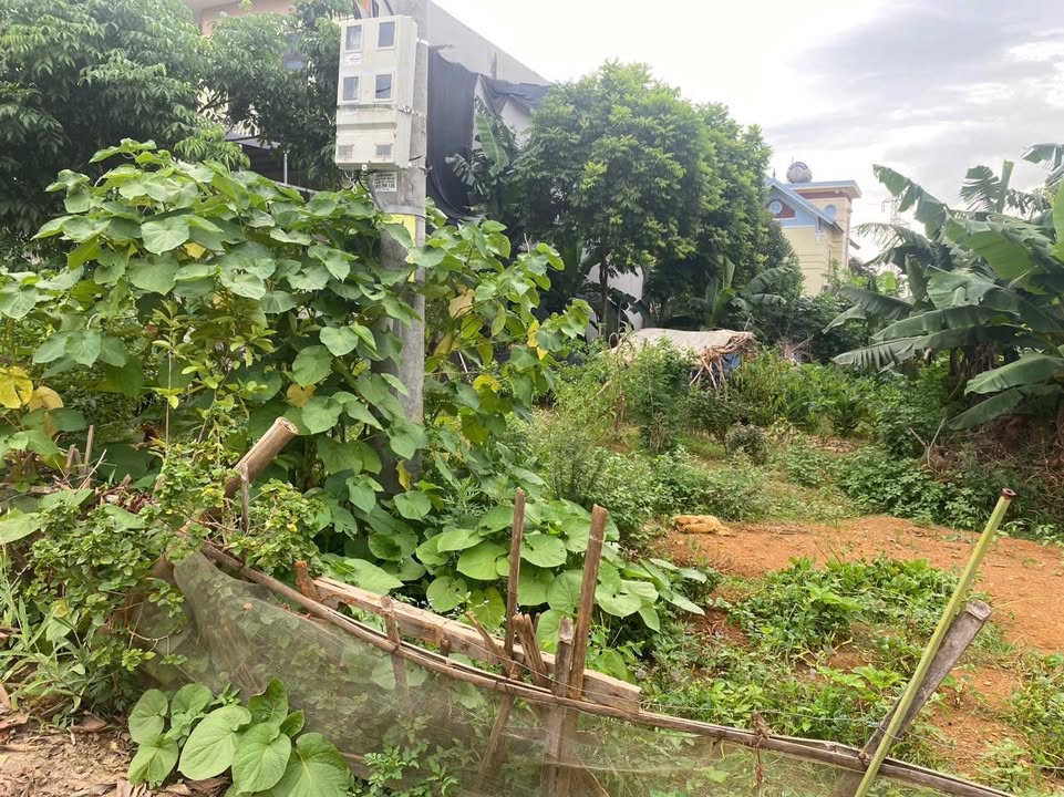 Đất nền Tam Điệp, Ninh Bình 191m² - Tiềm năng tăng giá vượt trội!