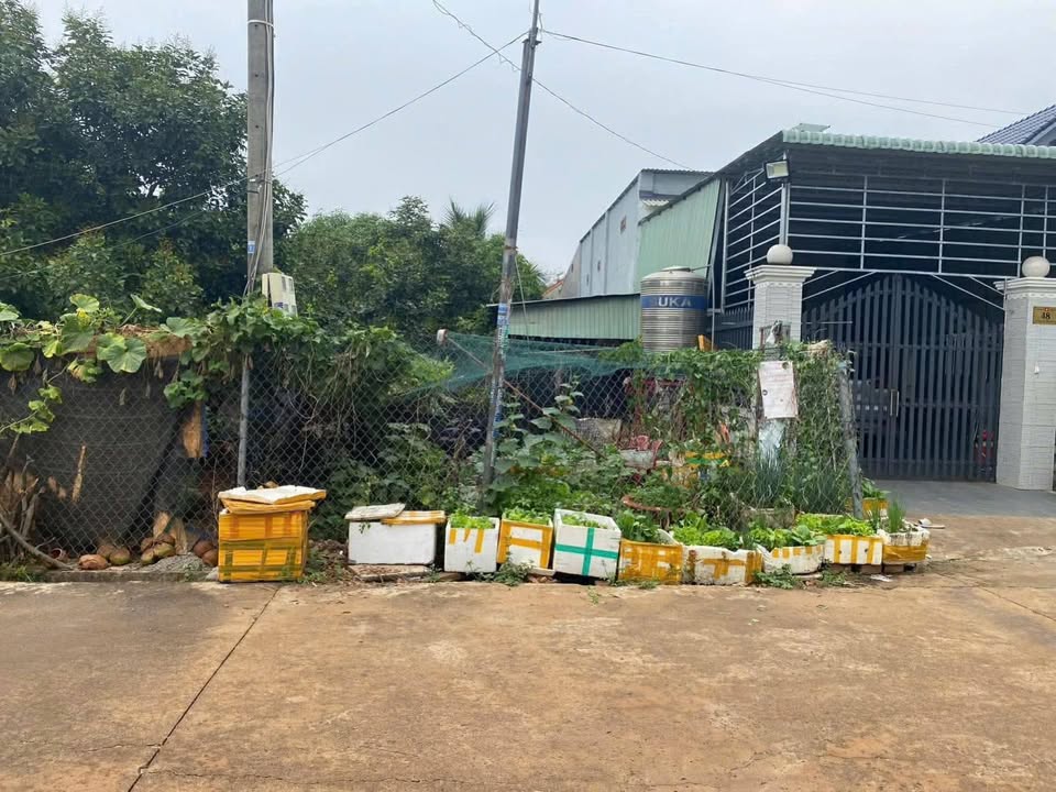 Đất nền Xã Tiến Hưng Đồng Xoài 224m² - Sổ đỏ chính chủ, vị trí vàng!