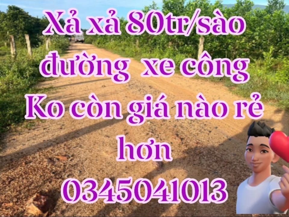 Đất vườn Xã Thuận Minh 30.000m² - Cơ hội đầu tư dài hạn!