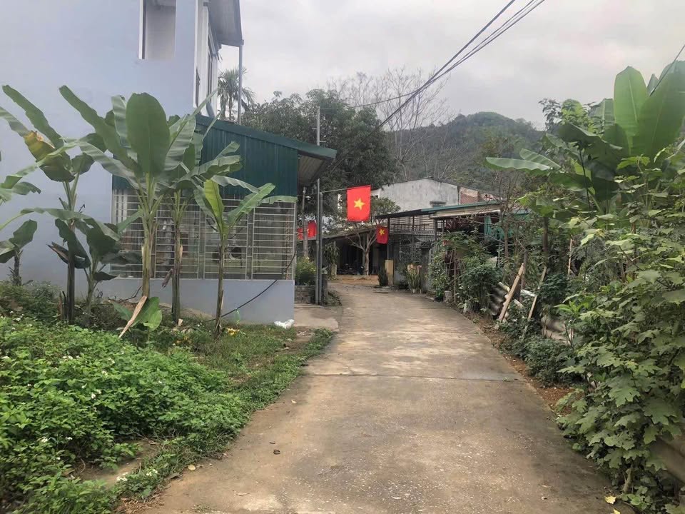 Bán đất Tuyên Quang 95m² - Chính chủ, giá chỉ 8xx triệu, ô tô vào tận nơi