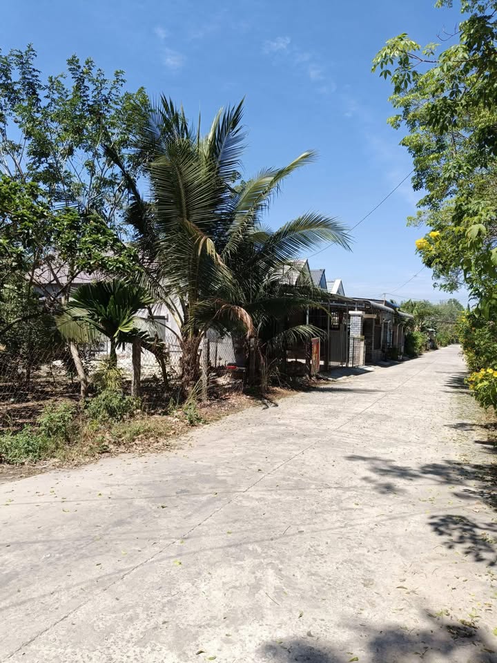 Bán đất Vĩnh Hòa Phú Giáo 264m² - Sổ đỏ chính chủ, thổ cư sẵn