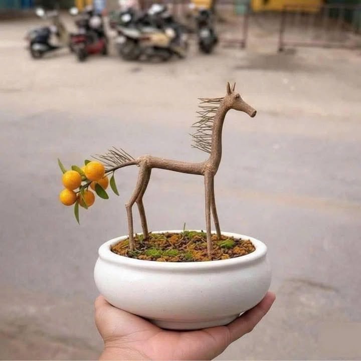 Đất Nền Kinh Doanh Mặt Tiền 165m² Buôn Ma Thuột - Giá Tốt Trước Tết!