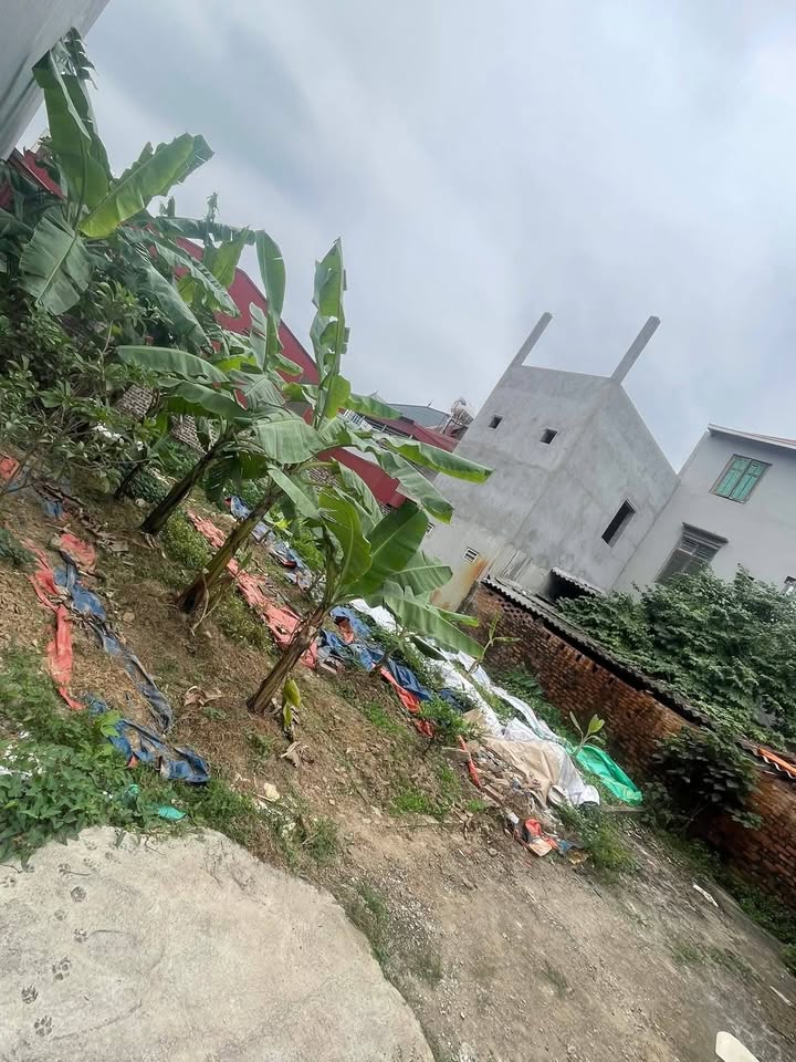 Nhà Đất Xuân Nộn, Đông Anh 48.8m² - Sổ hồng sẵn, giá tốt hiếm có!