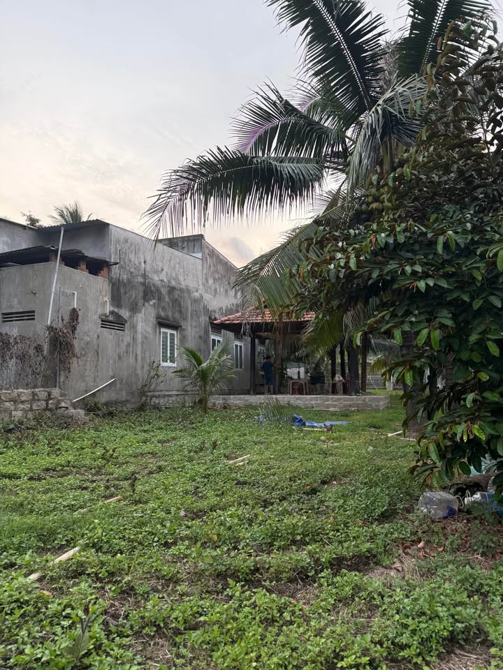 Cho thuê Đất Vườn Dừa 1000m² Vĩnh Lương, Nha Trang - Farmstay/Cafe Sân Vườn