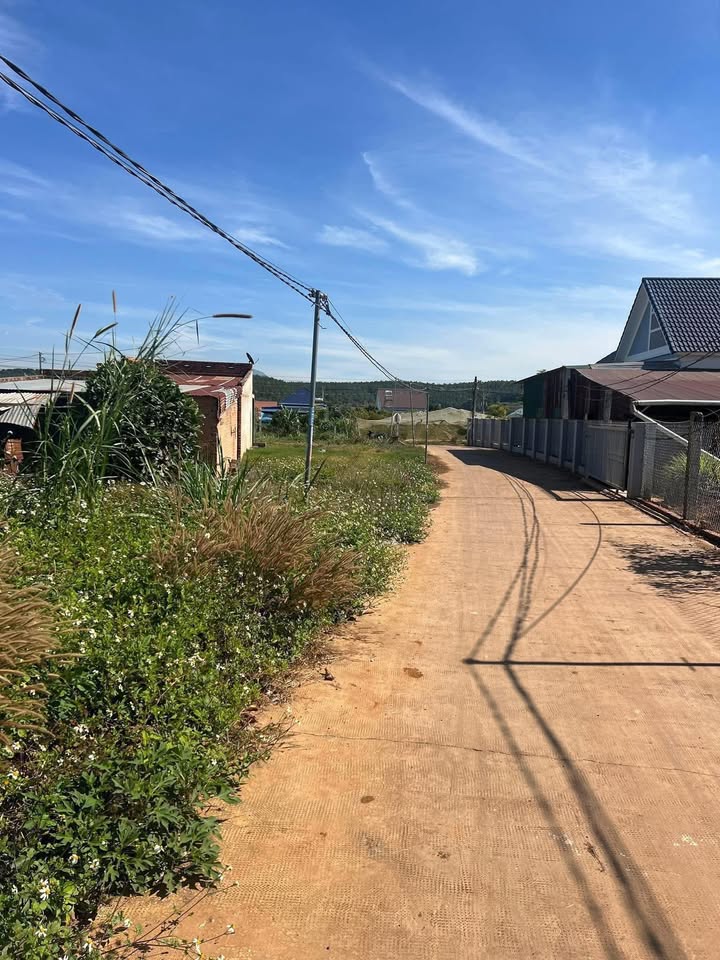 Đất Nền Đức Trọng 240m² Đường Bê Tông Tân Hội - Sổ Thổ Cư Sẵn