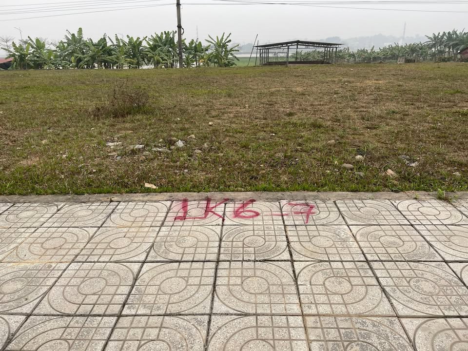 Đất nền QL32 Tam Nông 140m² - Tiềm năng tăng giá!