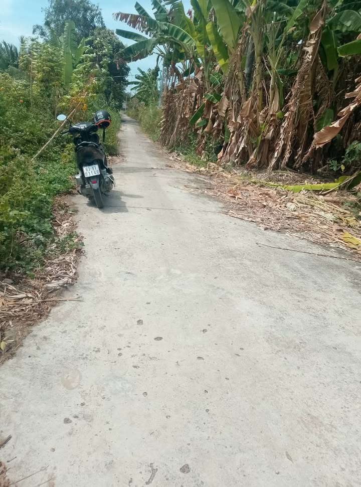 Bán 30.000m² Đất Farm Nuôi Tôm Vĩnh Châu - Hạ Tầng Hoàn Thiện, Giá Tốt!