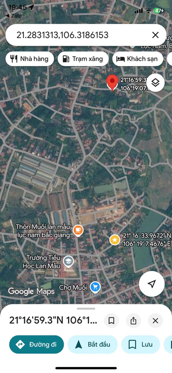 Đất Vườn Lục Nam 1183m² - Sổ Đỏ Thổ Cư, Tiềm Năng Nghỉ Dưỡng & Đầu Tư