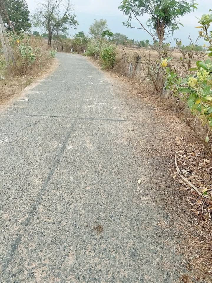 Đất nền Thuận Minh, Hàm Thuận Bắc 1044m² - Tiềm năng tăng giá vượt trội!