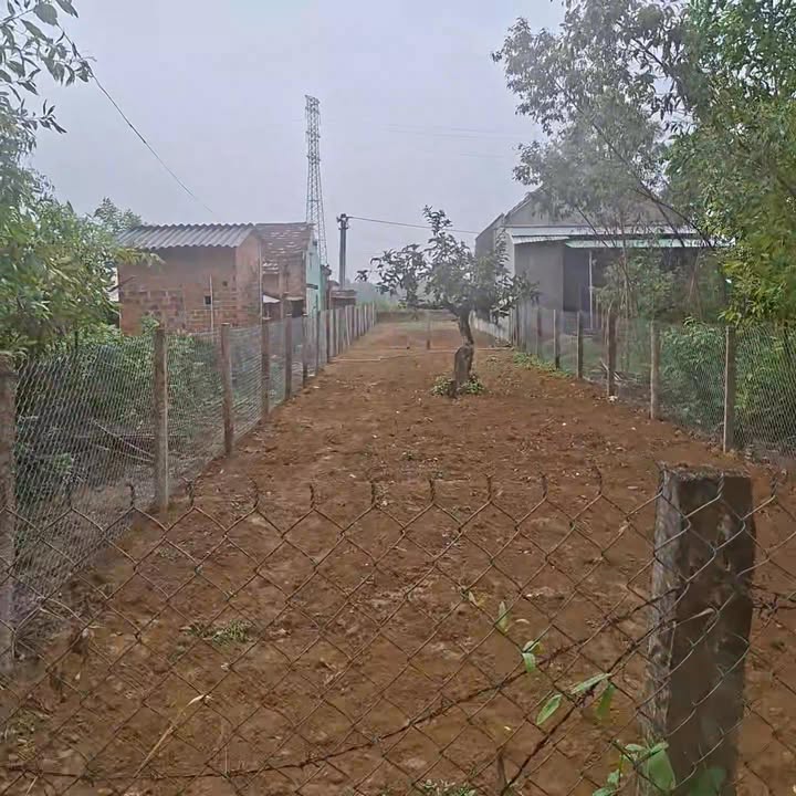 Đất nền Nhơn Hòa An Nhơn 186m² giá 300 triệu - Sổ đỏ chính chủ