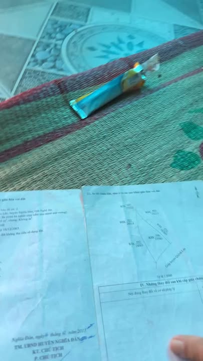 Bán 3.3ha đất rừng Nghĩa Lộc, Nghĩa Đàn - 350 triệu - Đầu tư dài hạn