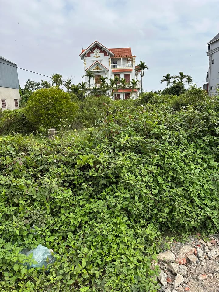 Đất nền Kim Mỹ Kim Sơn 175m² giá 3 tỷ - Sổ đỏ chính chủ!