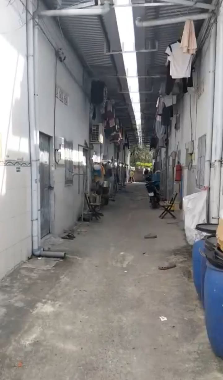 Bán Gấp Dãy Trọ 1000m² Tân Thạnh Đông Củ Chi - Thu Nhập 30 Triệu/Tháng