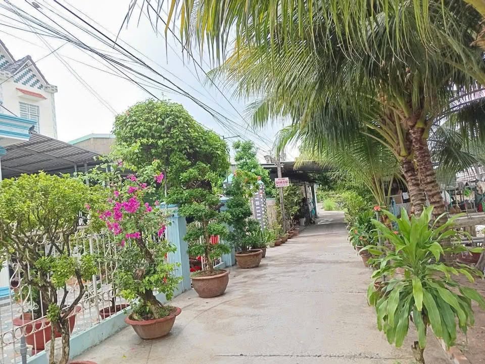 Nhà riêng Cái Bè Tiền Giang 175m² giá 1.45 tỷ - Vị trí đẹp ven sông!