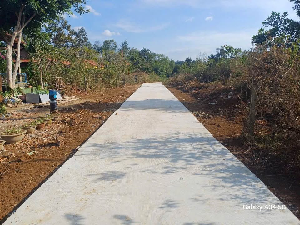 Đất Nền Sùng Nhơn - Đức Linh 252m² Sổ Hồng Sẵn Sàng - Giá Tốt