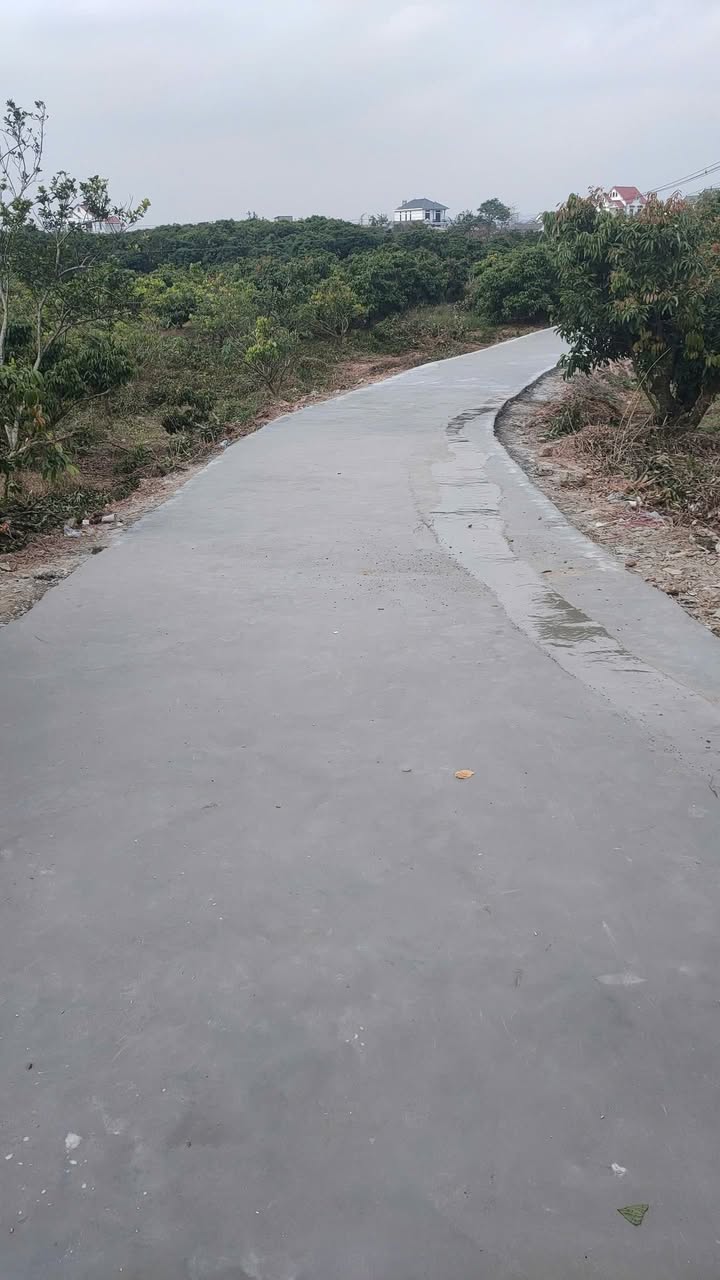 Bán Đất Vườn 3600m² Sổ Đỏ Tại Bắc Giang - Giá Chỉ 2.1 Tỷ