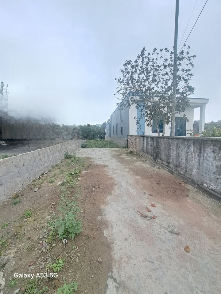 Đất nền Tân Hương Ninh Giang 105m² giá 1 tỷ - Sổ đỏ chính chủ