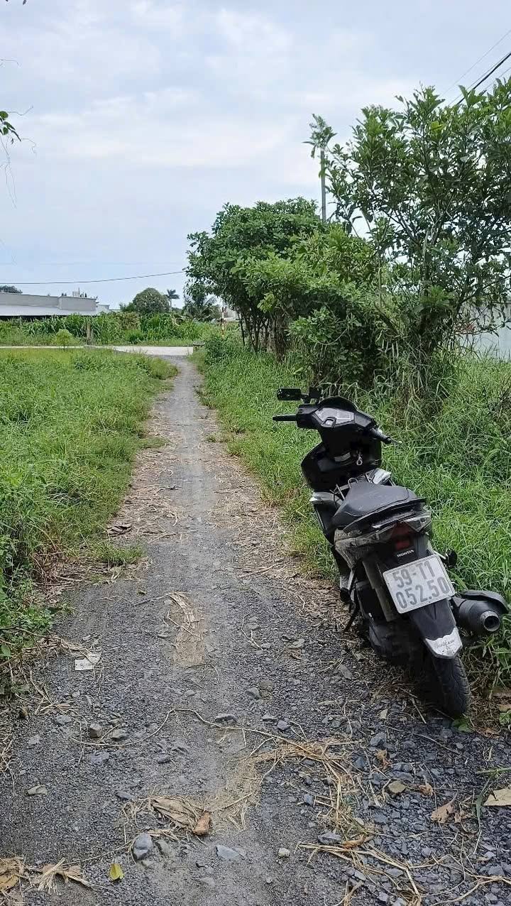 Đất Nền Củ Chi 117m² Sổ Hồng Full Thổ Cư - Giá Đầu Tư 1.75 Tỷ