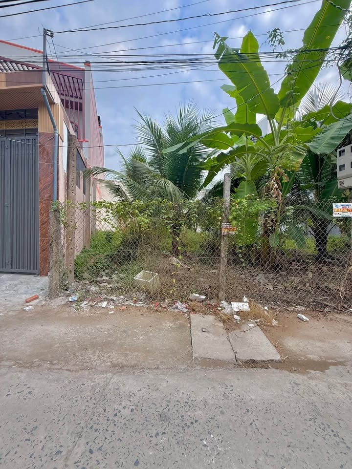 Bán Đất Mỹ Phong, Tiền Giang 67.5m² - Sổ Đỏ Vuông Vức, Giá Tốt