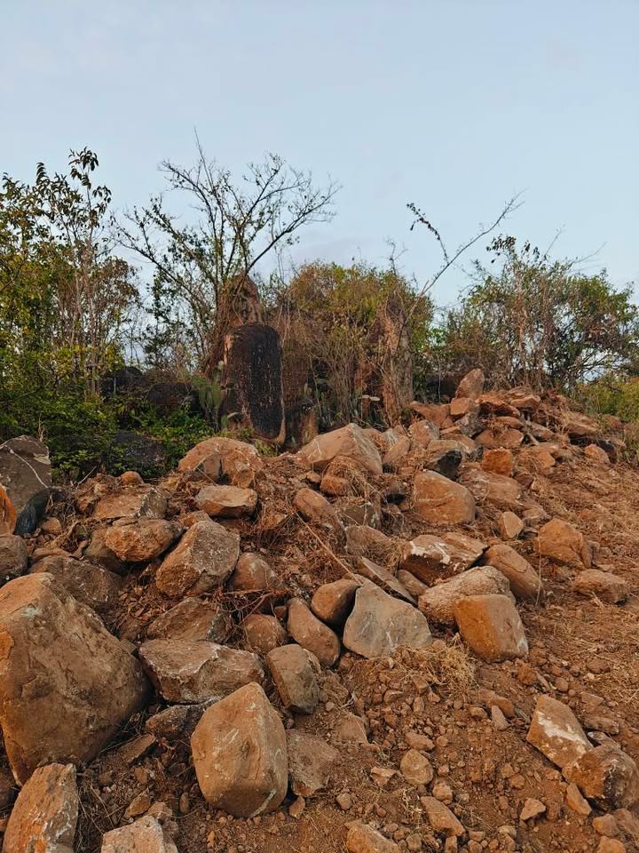 Đất Vườn Mỹ Sơn, Phan Rang 6000m² giá 380 triệu - Nghỉ dưỡng lý tưởng!