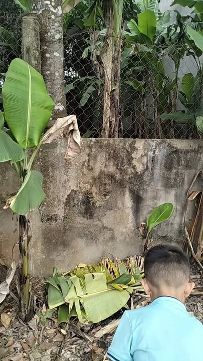 Đất nền Kỳ Tân, Tân Kỳ 120m² - Tiềm năng tăng giá vượt trội!