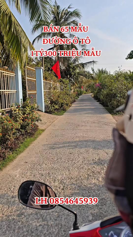 Đất Nền Long An 26ha - Giá Đầu Tư 43 Tỷ - Sẵn Sàng Cho Dự Án Lớn