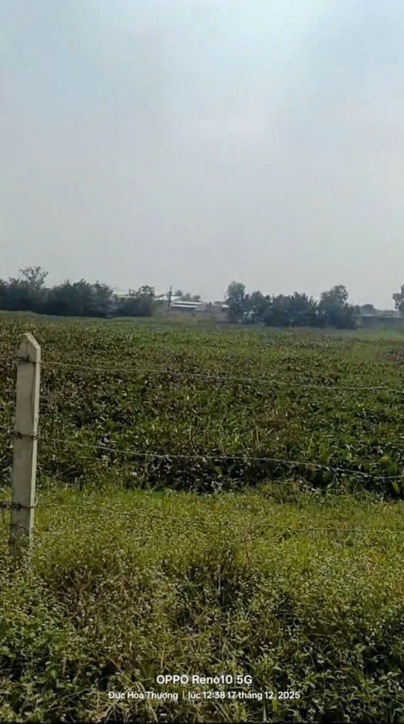 Đất Vườn Đức Hòa Thượng 5812m² - Sổ Hồng Sẵn - Giá Đầu Tư Tốt