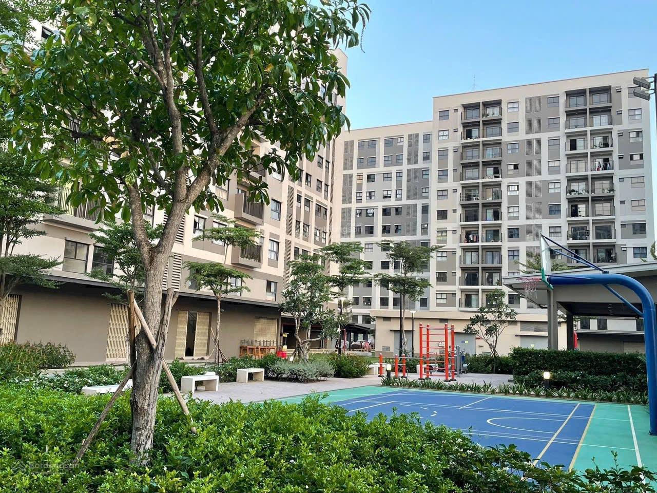 Căn hộ Ehome Waterpoint 64m² 4.5 triệu - Sống xanh, an yên!