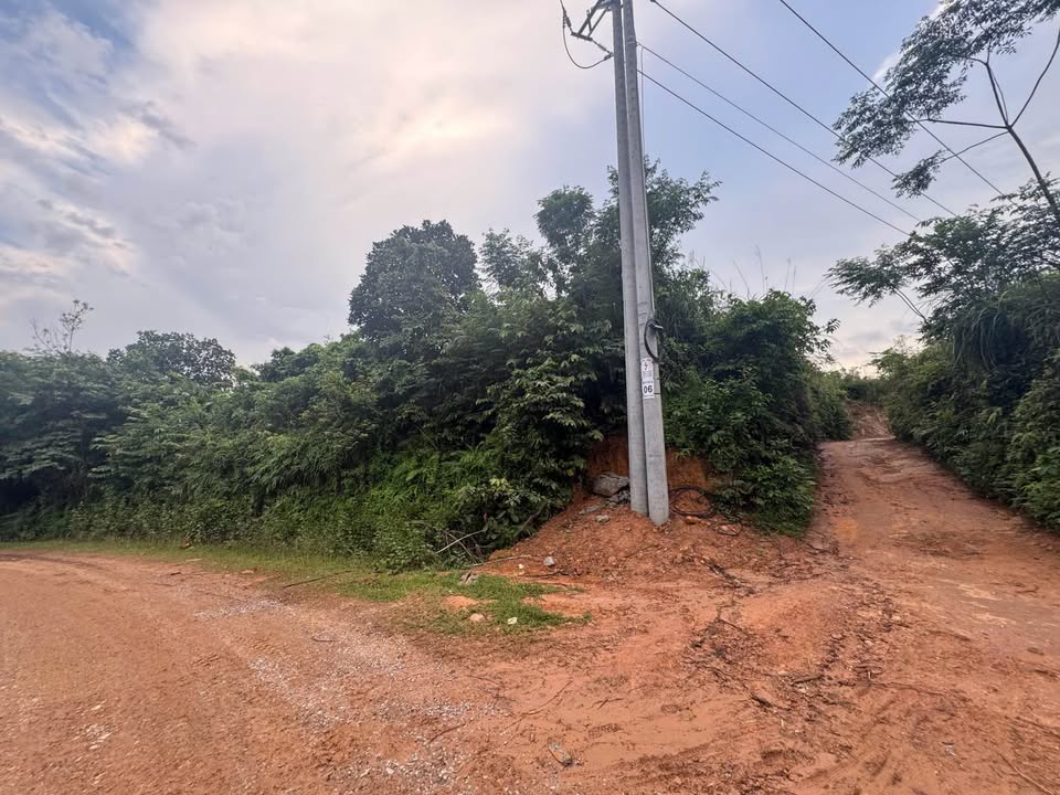 Đất nền Hoằng Hóa 1732m² giá 6 tỷ - Tiềm năng tăng giá vượt trội