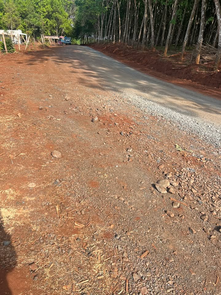 Đất nền Lộc Ninh 1248m² giá 280 triệu - Sổ đỏ chính chủ