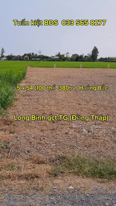 Đất Nền Sổ Sẵn - 270m² Bàu Bàng, Bình Dương - Giá 380 Triệu