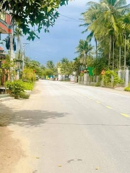 Đất Mặt Tiền 294m² Đường Dầu, Hoài Ân - Kinh Doanh & An Cư