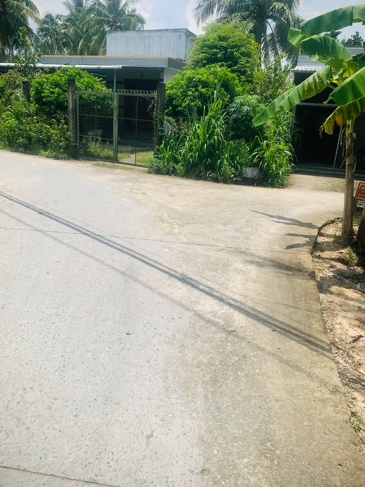 Bán cặp đất nền Giồng Trôm 225m² giá 420 triệu - Sổ hồng chính chủ!